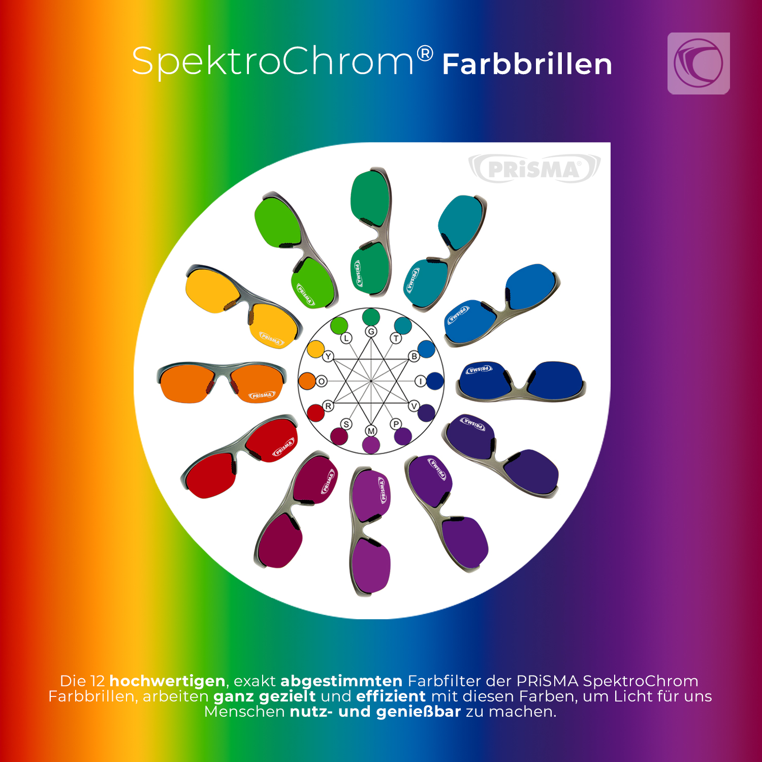 SpektroChrom Komplett-Set – 12 Farbbrillen mit Display-Koffer und Handbuch